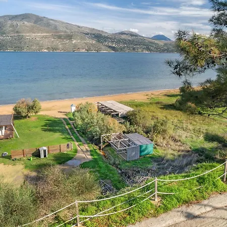 Euphoria Ликсури